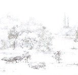 Papier peint forêt de pin aquarelle