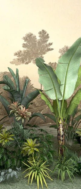 Papier peint toilette Jungle tendance indonésia