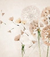 Papier peint fleur pissenlit