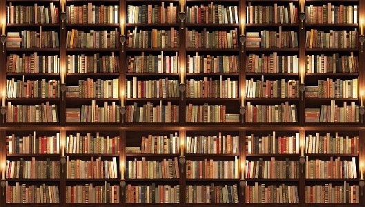 Papier peint trompe l'oeil Authentique Bibliothèque