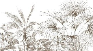 Papier peint tropical gravure monochrome