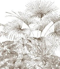 Papier peint tropical gravure monochrome