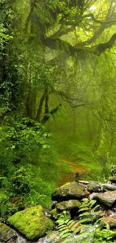 Papier peint Cascade & Forêt, XXL, tendance