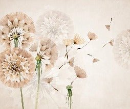 Papier peint fleur pissenlit