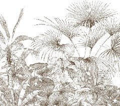 Papier peint tropical gravure monochrome
