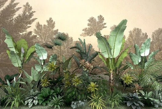 Papier peint Jungle tendance indonésia