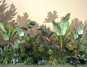 Papier peint Jungle tendance indonésia