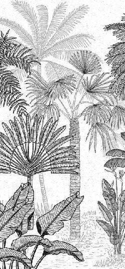 Papier peint toilette jungle cocotier tendance gravure