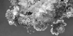 Papier peint fleur pivoine noir et blanc