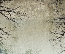 Papier peint Forêt Enchantée