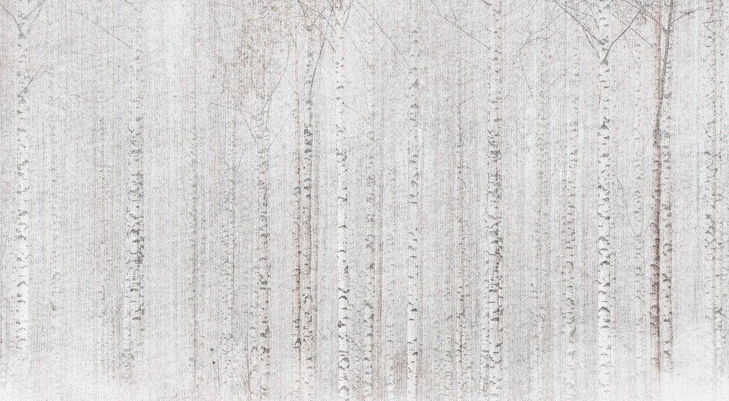 Papier peint forêt de bouleaux enveloppante