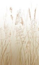 Papier peint toilette fleur des champs de blé beige