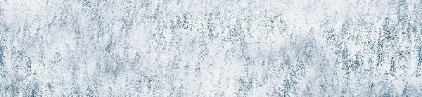Papier peint forêt brumeuse Alpine design