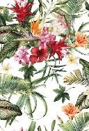 Papier peint tropical & Fleurs colorées