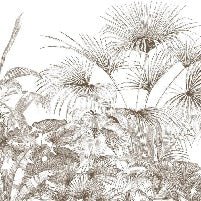 Papier peint tropical gravure monochrome