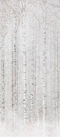 Papier peint forêt de bouleaux enveloppante