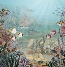 Papier peint vie sous la mer