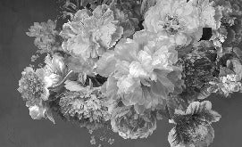 Papier peint fleur pivoine noir et blanc