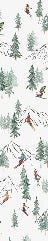 Papier peint Alpine glisse