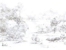 Papier peint forêt de pin aquarelle