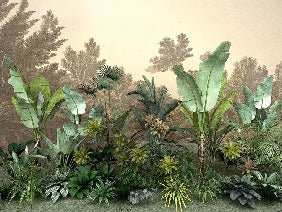 Papier peint Jungle tendance indonésia