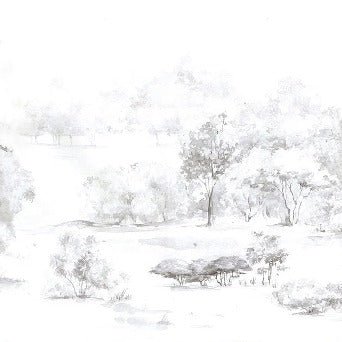 Papier peint forêt de pin aquarelle