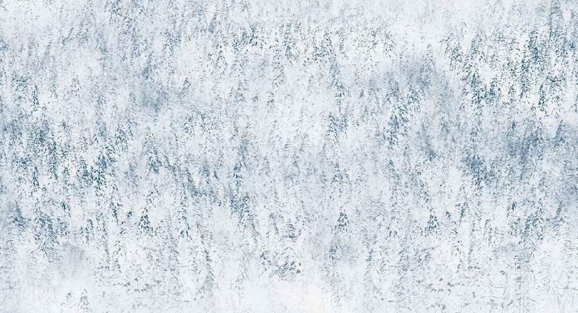 Papier peint forêt brumeuse Alpine design