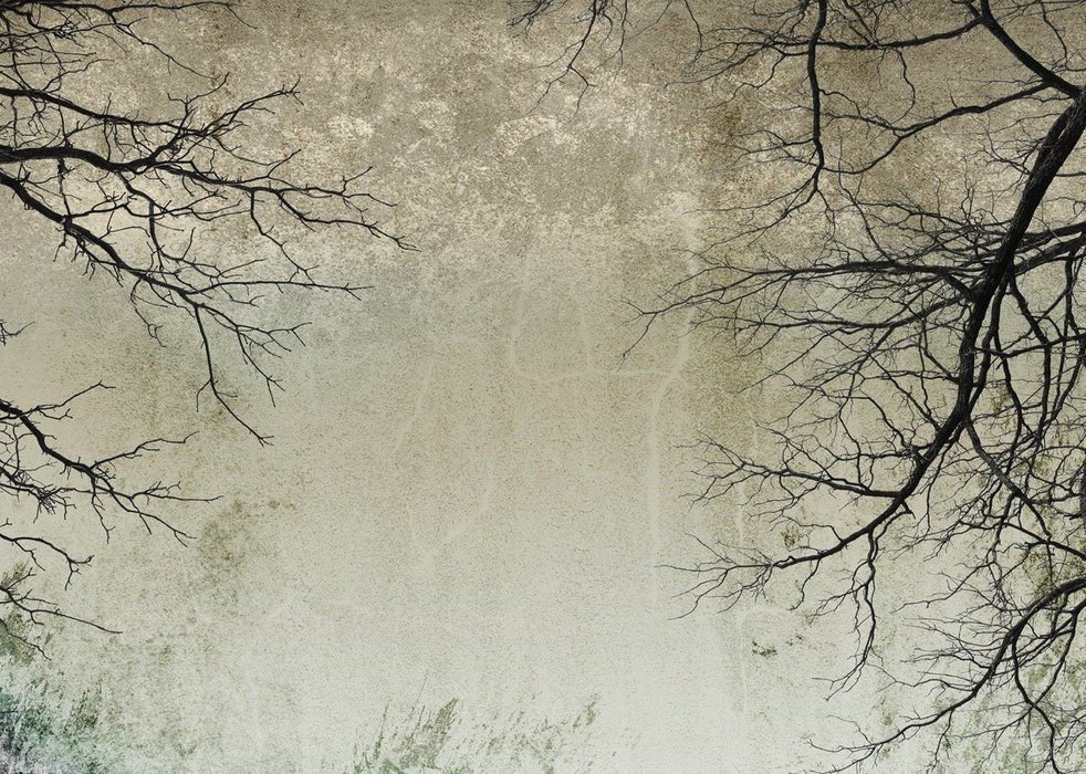 Papier peint Forêt Enchantée