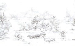 Papier peint forêt de pin aquarelle