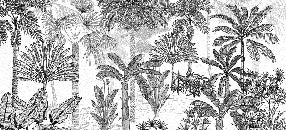 Papier peint jungle cocotier tendance gravure