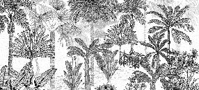Papier peint jungle cocotier tendance gravure