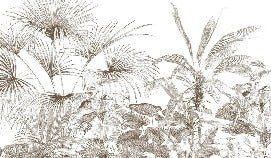 Papier peint tropical gravure monochrome
