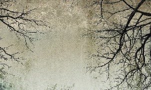 Papier peint Forêt Enchantée, XXL, tendance