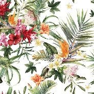 Papier peint tropical & Fleurs colorées