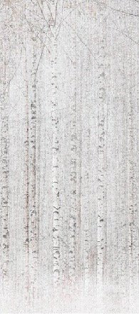 Papier peint forêt de bouleaux enveloppante