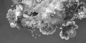 Papier peint fleur pivoine noir et blanc