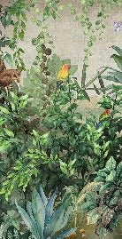 Papier peint Jungle Parrot