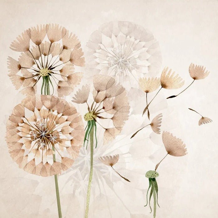 Papier peint fleur pissenlit