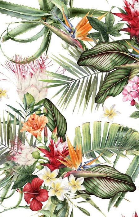 Papier peint tropical & Fleurs colorées