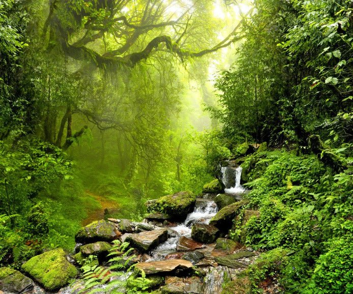 Papier peint Cascade & Forêt, XXL, tendance