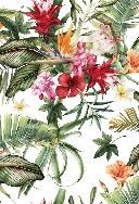 Papier peint tropical & Fleurs colorées