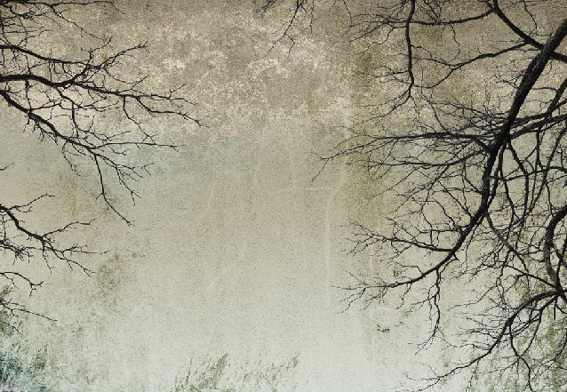 Papier peint Forêt Enchantée