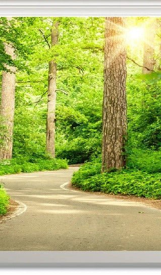 Papier peint wc balade en forêt
