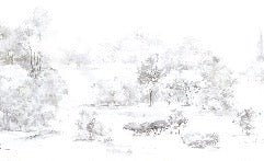 Papier peint forêt de pin aquarelle