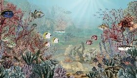 Papier peint vie sous la mer