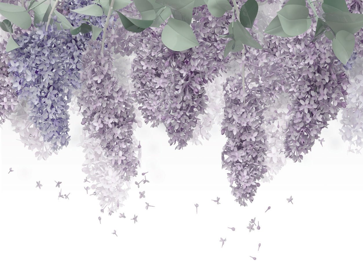 Papier peint Glycine Provence, mural concept, tendance