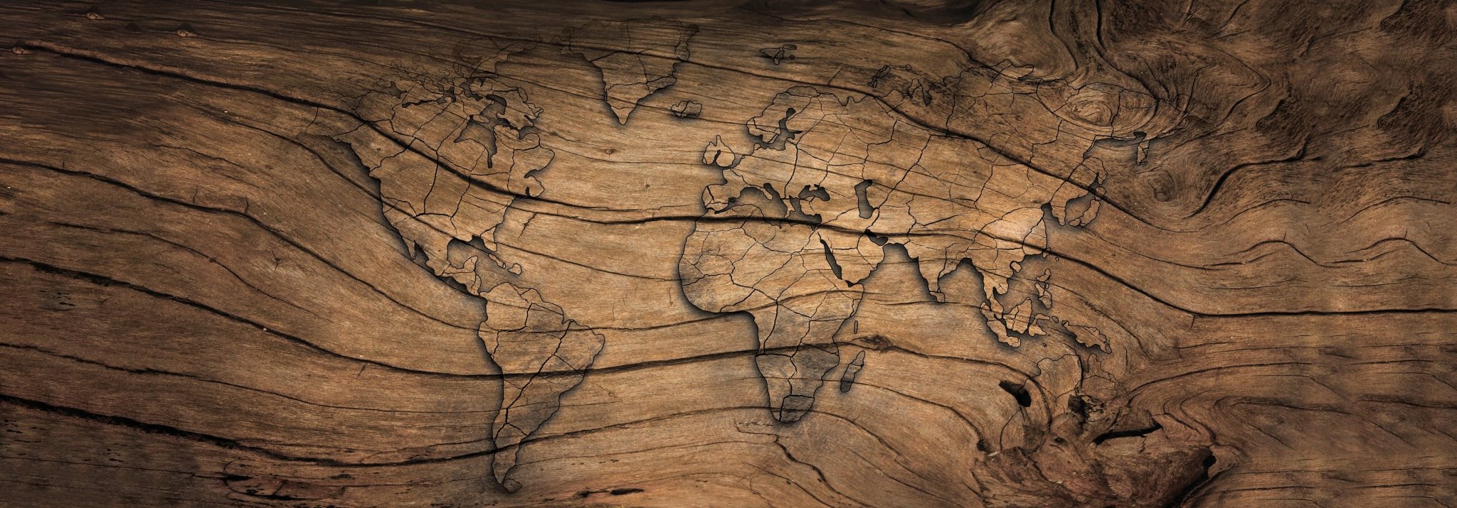 Papier peint Wood & Map, XXL, tendance