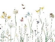 Papier peint herbes enchantées