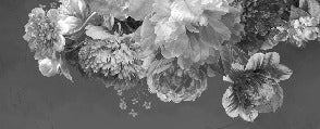 Papier peint fleur pivoine noir et blanc