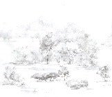 Papier peint forêt de pin aquarelle